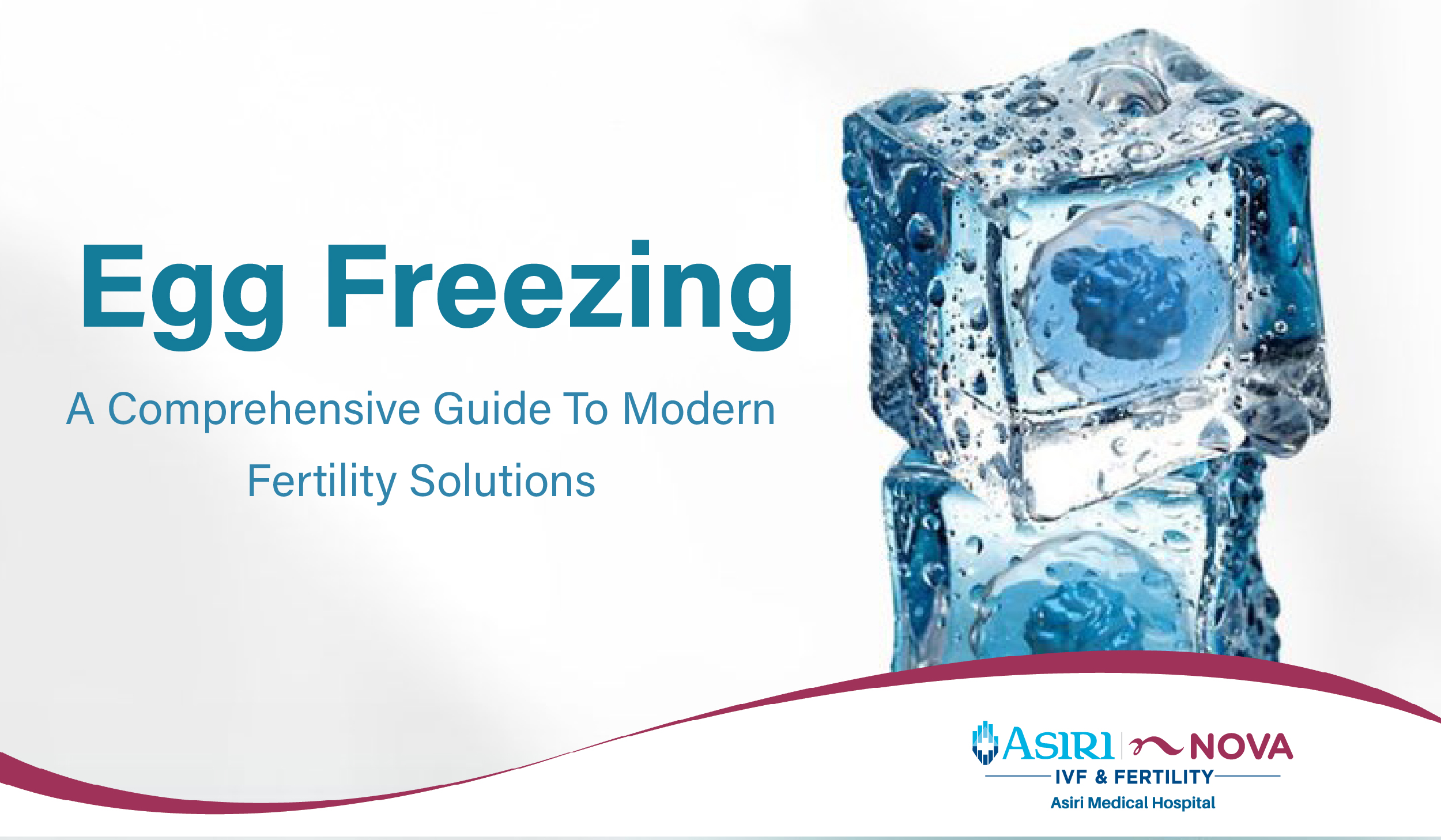 241220111225Egg_Freezing,_A_Comprehensive_Guide_to_Modern_Fertility_Solutions-01.jpg